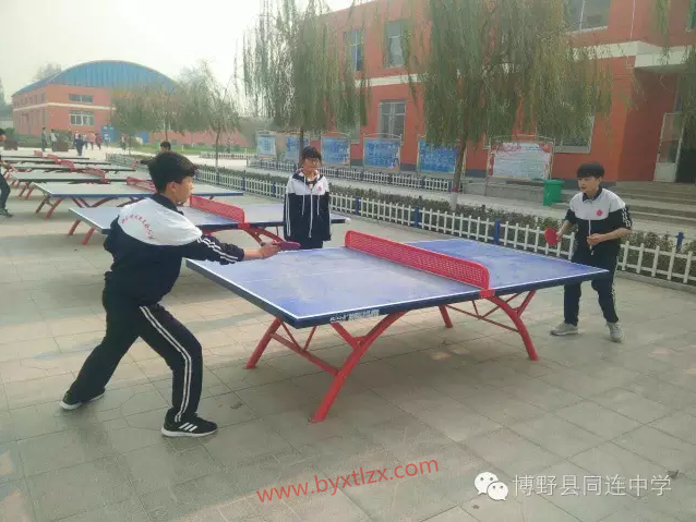 小球大魅力 转动我青春”