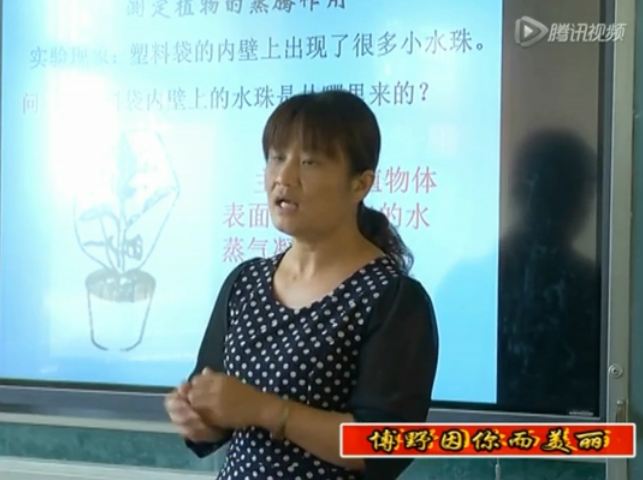 博野因你而美丽