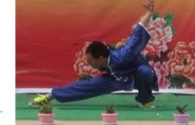 张森老师武术表演