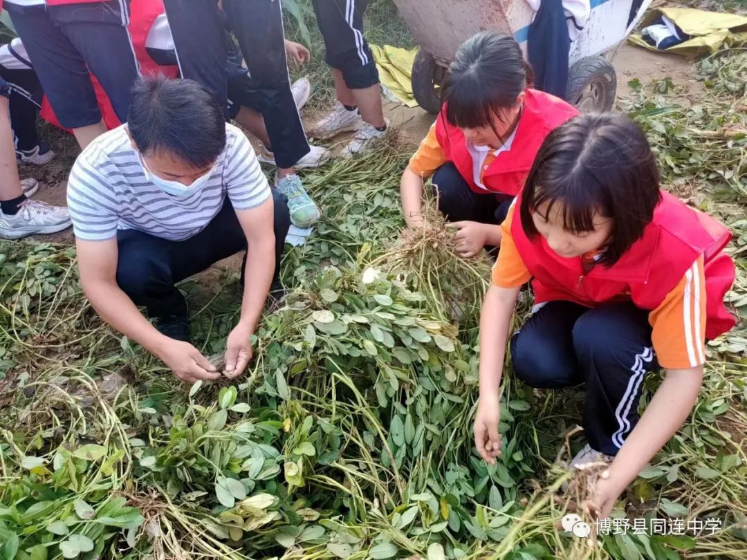 劳动砺心智 实践促成长——我校组织开展劳动基地实践活动”